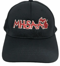 Michigan MHSAA Navy Surge Fitted 4-stitch Umpire Plate Cap