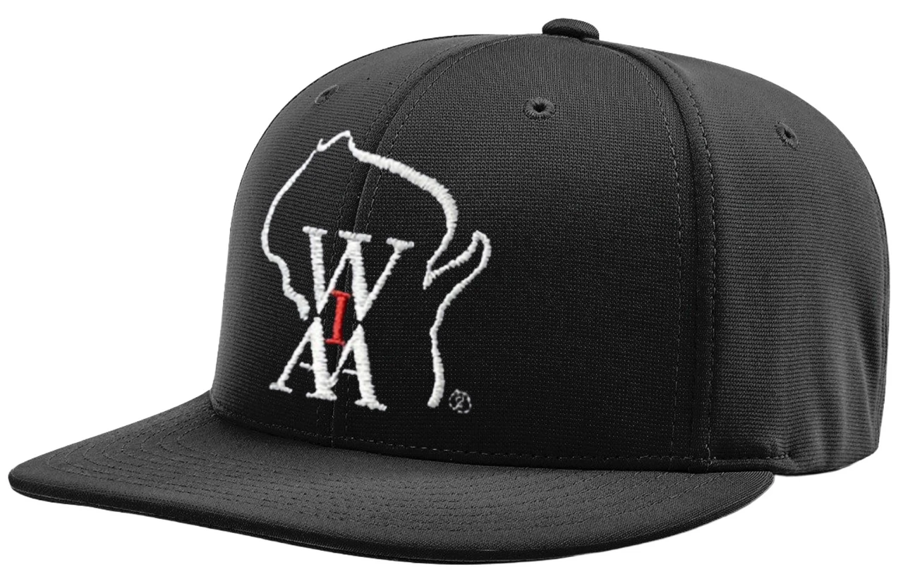Wisconsin WIAA Black Pulse Performance 8-stitch Umpire Base Cap 3 Wisconsin WIAA Black Pulse Performance 8-stitch Umpire Base Cap