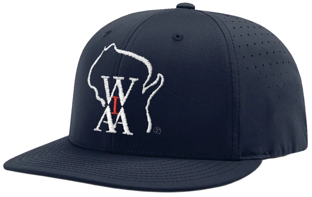 Wisconsin WIAA Navy Ignite Performance LT Flex-Fit 6-stitch Combo Umpire Cap 3 Wisconsin WIAA Navy Ignite Performance LT Flex-Fit 6-stitch Combo Umpire Cap