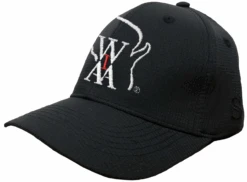 Wisconsin WIAA Smitty Black Mesh 4-stitch Umpire Plate Cap
